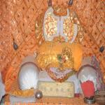 Vraj-Yatra-2014- (2539)